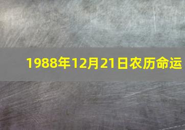 1988年12月21日农历命运