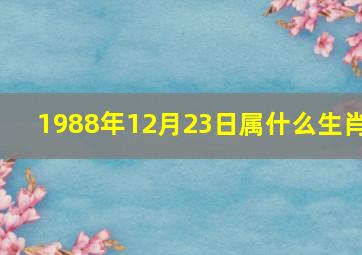 1988年12月23日属什么生肖