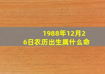 1988年12月26日农历出生属什么命