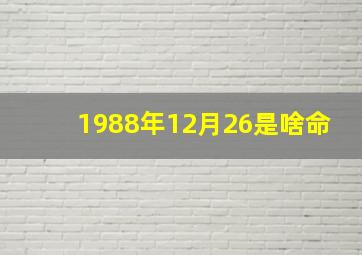 1988年12月26是啥命