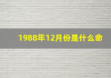 1988年12月份是什么命