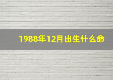 1988年12月出生什么命