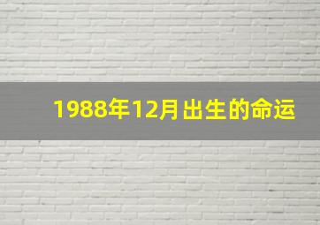 1988年12月出生的命运