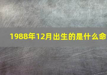 1988年12月出生的是什么命