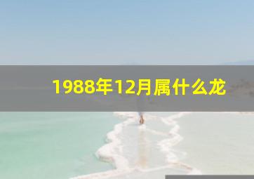 1988年12月属什么龙