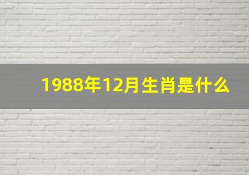 1988年12月生肖是什么