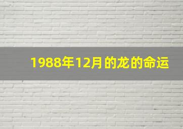 1988年12月的龙的命运