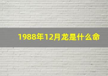 1988年12月龙是什么命