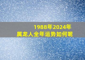 1988年2024年属龙人全年运势如何呢