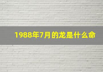 1988年7月的龙是什么命