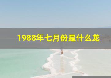 1988年七月份是什么龙