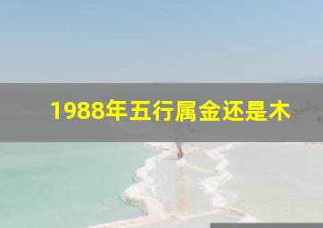 1988年五行属金还是木