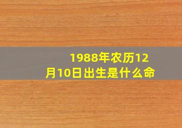 1988年农历12月10日出生是什么命