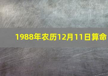 1988年农历12月11日算命