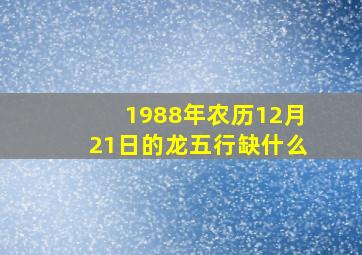 1988年农历12月21日的龙五行缺什么