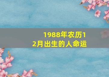 1988年农历12月出生的人命运