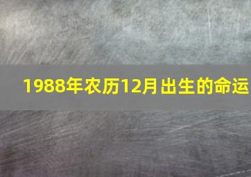 1988年农历12月出生的命运