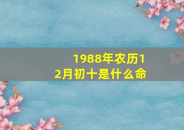 1988年农历12月初十是什么命