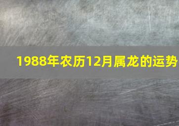 1988年农历12月属龙的运势