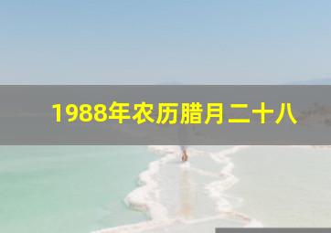 1988年农历腊月二十八