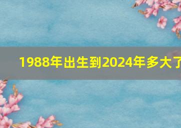 1988年出生到2024年多大了