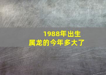 1988年出生属龙的今年多大了