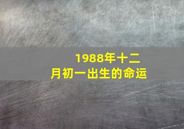 1988年十二月初一出生的命运