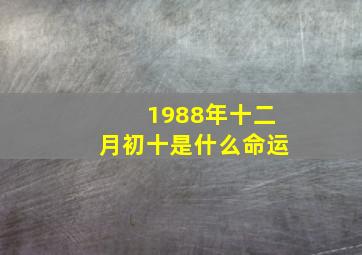 1988年十二月初十是什么命运