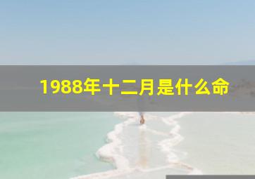 1988年十二月是什么命