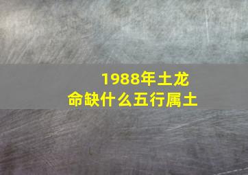 1988年土龙命缺什么五行属土