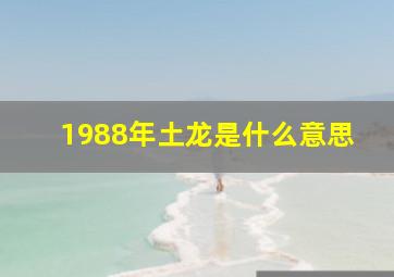 1988年土龙是什么意思