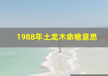 1988年土龙木命啥意思