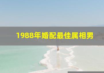 1988年婚配最佳属相男