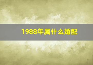 1988年属什么婚配