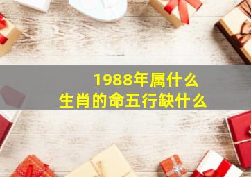 1988年属什么生肖的命五行缺什么