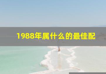 1988年属什么的最佳配