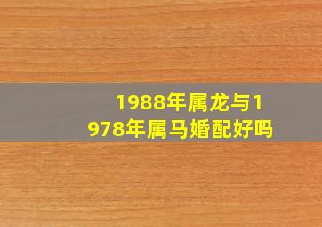 1988年属龙与1978年属马婚配好吗