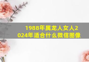 1988年属龙人女人2024年适合什么微信图像