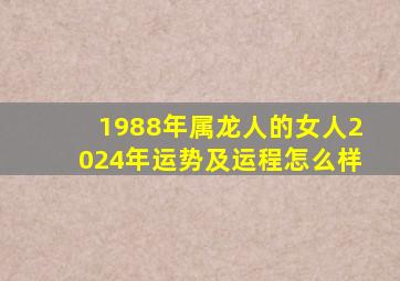 1988年属龙人的女人2024年运势及运程怎么样