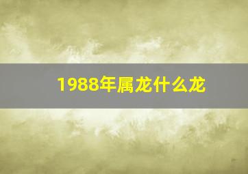 1988年属龙什么龙