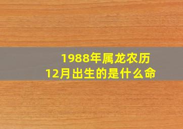 1988年属龙农历12月出生的是什么命