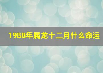 1988年属龙十二月什么命运