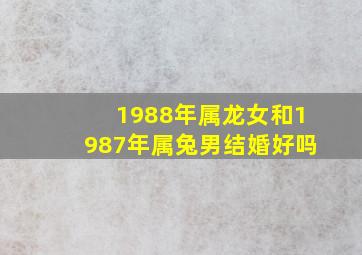 1988年属龙女和1987年属兔男结婚好吗