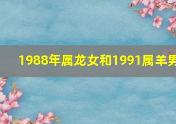 1988年属龙女和1991属羊男