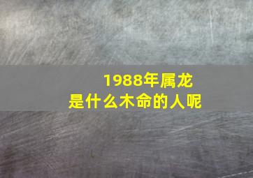 1988年属龙是什么木命的人呢