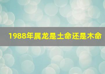 1988年属龙是土命还是木命