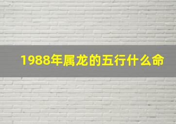 1988年属龙的五行什么命