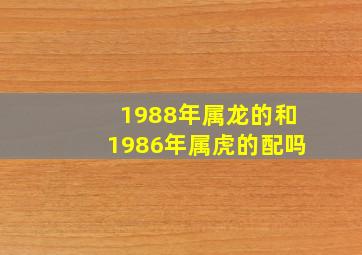 1988年属龙的和1986年属虎的配吗