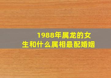 1988年属龙的女生和什么属相最配婚姻