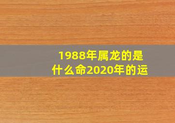 1988年属龙的是什么命2020年的运